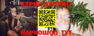 трава Пугачёв
