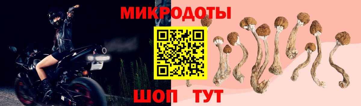 Галлюциногенные грибы GOLDEN TEACHER Солнечногорск
